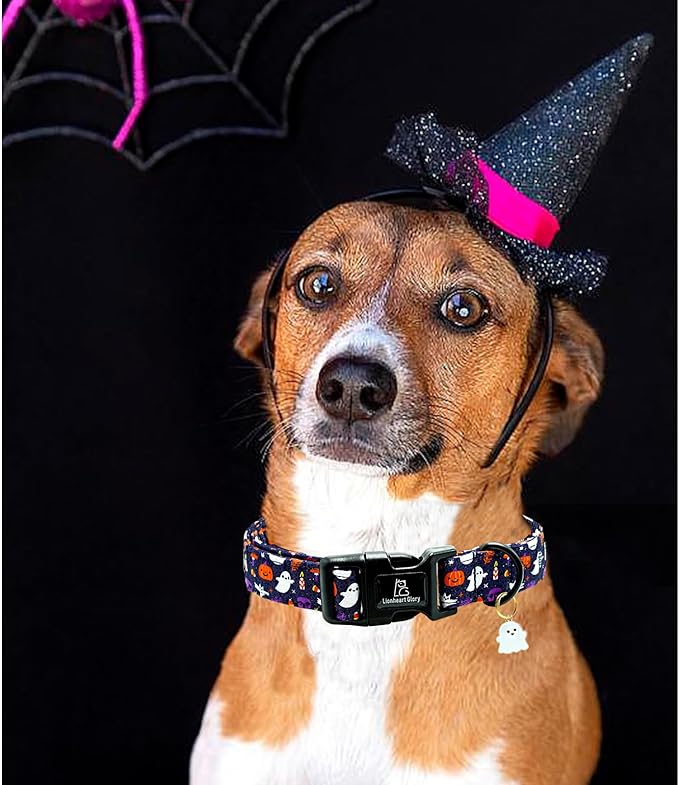 Lionheart glory Dog Collars Fall Halloween Pumpkin Collar