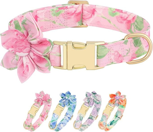 Beirui Cute Girl Dog Collars for Female Dogs