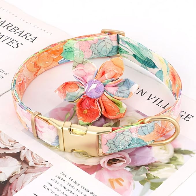 Beirui Cute Girl Dog Collars for Female Dogs