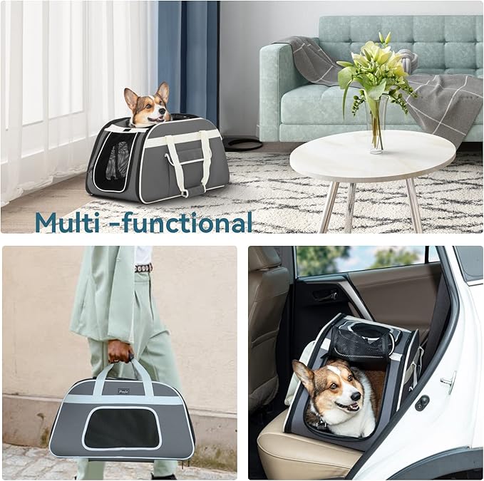 Petsfit Pet Carrier with Removable Wheels