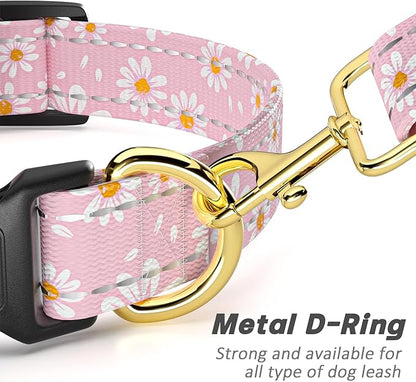 Reflective Dog Collar