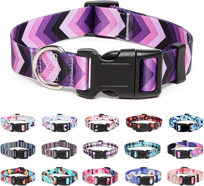 Adjustable Dog Collar with Patterns