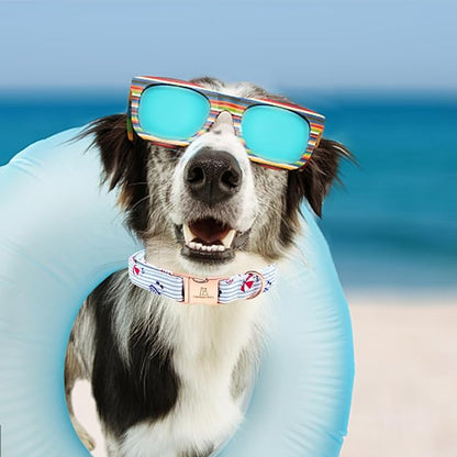 Lionheart glory Dog Collar