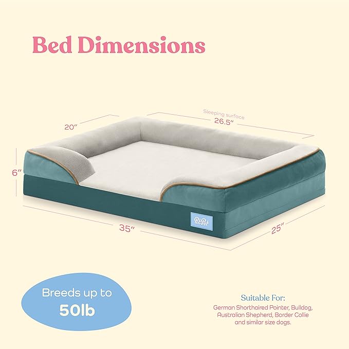 Orthopedic Sofa Dog Bed