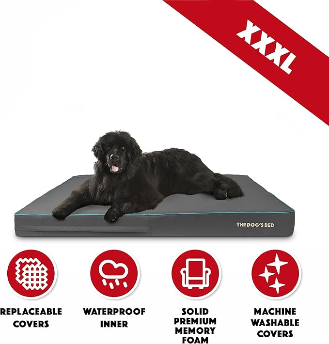 The Dog’s Bed Orthopedic Memory Foam Dog Bed 64x44, Pain
