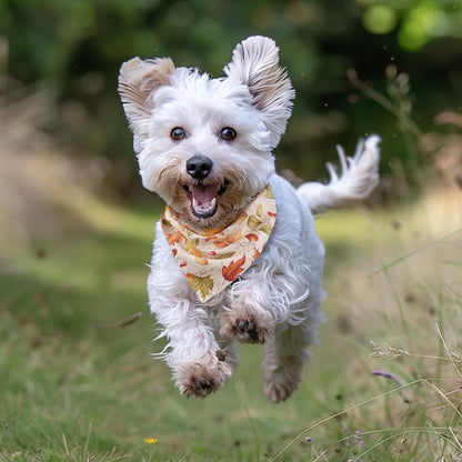 Fall Dog Bandana 2 Pack Thanksgiving Dog Bandana Leaf Pet Scarf Reversible Fall Triangle Bibs Soft Cotton Boy Girl Dog Bandanas for Small, Medium, Large Dogs (Small)