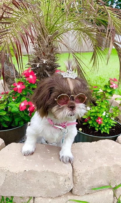 PET SHOW 1pc/Pack Dog Tiara Crown Hair Clips