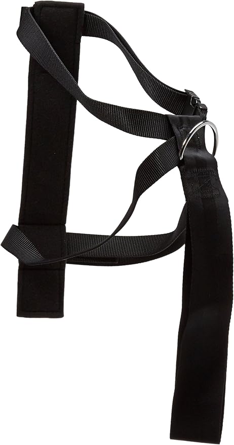 Kwik Klip Car Harness