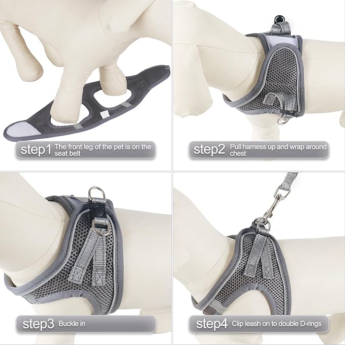 YIMEIS Dog Harness and Leash Set 1)