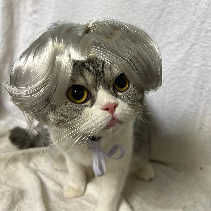 Funny Dog Cat Cosplay Wig, Headwear Apparel Toy, Cat Dress up for Halloween, Christmas, Parties, Festivals, Wigs for Small Medium Dogs and Cats