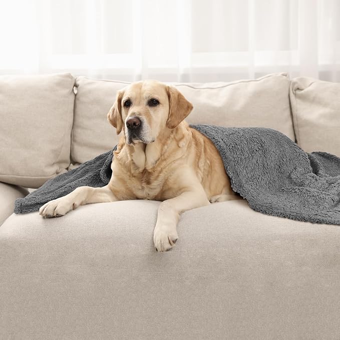 furrybaby Dog Blanket Soft Dog Blankets for Large Dogs Puppy Essentials Washable Sherpa Fleece Cat Blanket 41x65 Inches for Bed Furniture Couch Sofa (X Large