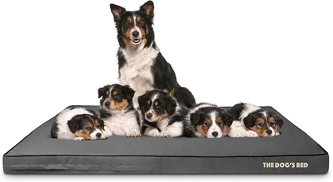 The Dog’s Bed Orthopedic Memory Foam Dog Bed 64x44, Pain