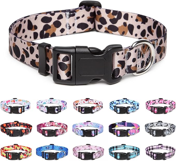 Adjustable Dog Collar with Patterns