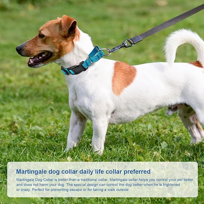 Reflective Martingale Dog Collars. Dog Collar with Quick