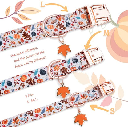 Faygarsle Bow Tie Halloween Fall Dog Collar