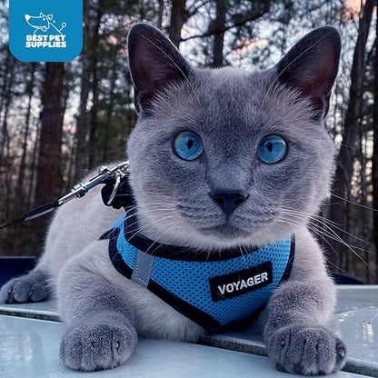 Voyager Step-in Air Dog Harness - All Weather Mesh Step in Vest Harness for Small and Medium Dogs and Cats by Best Pet Supplies - Harness (Baby Blue/Black Trim), S (Chest: 14.5-16")