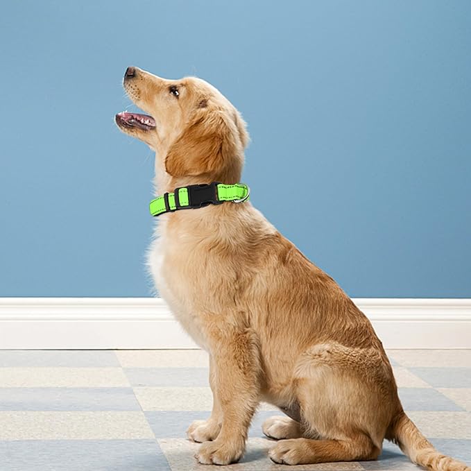 Reflective Dog Collar