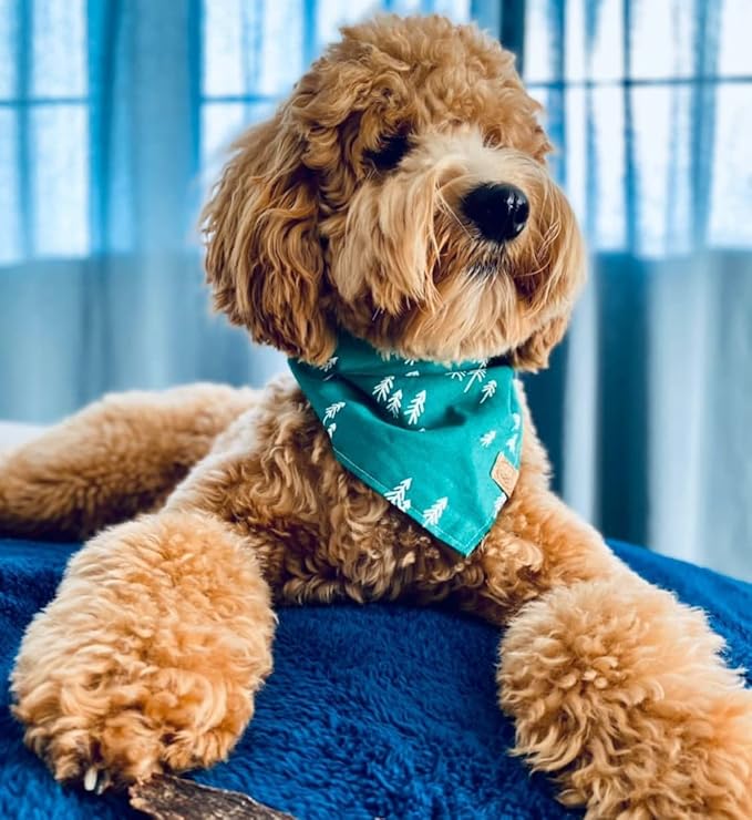 rocket & rex Extra Large Waterproof Dog Blankets for Dogs