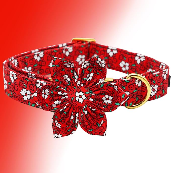 Elegant little tail Dog Collar with Flower