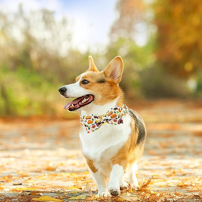 Lionheart glory Thanksgiving Dog Collar, Turkey Dog Bow Collar Adjustable Soft and Comfortable Bowtie Collars for Medium Dogs Girl or Boy Pet Gift Fall Collar Dog Bow
