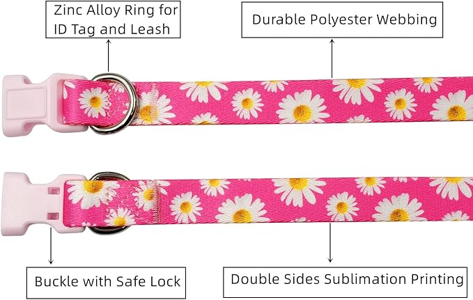 Basic Dog Collar