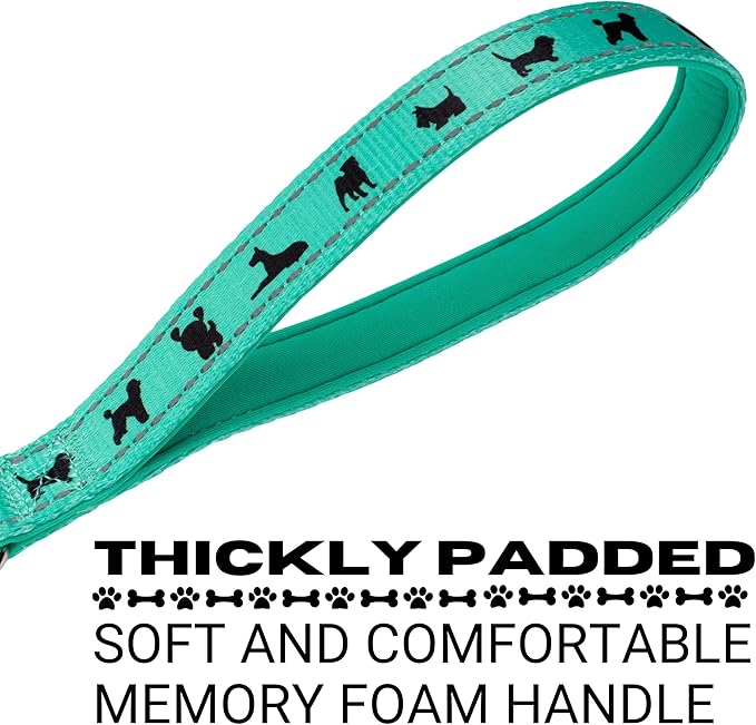 EcoBark Dog Leash - Soft & Reflective Comfort Training Leashes with Padded Handle - Strong Durable Heavy Duty - Training and Pulling for Small, Medium or Large Dogs (Turquoise)