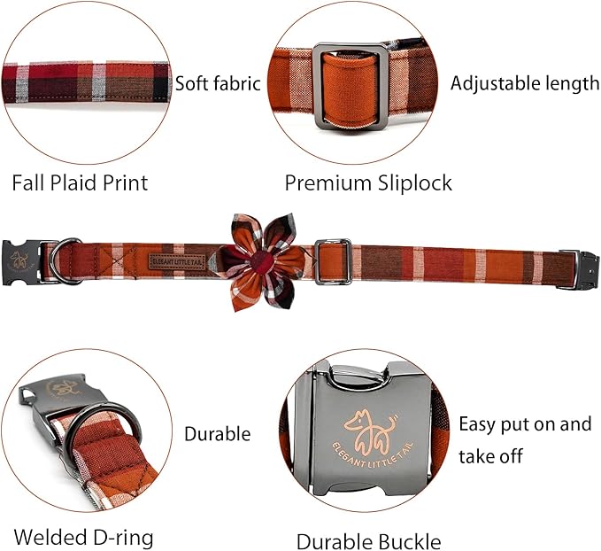 Elegant little tail Fall Dog Collar