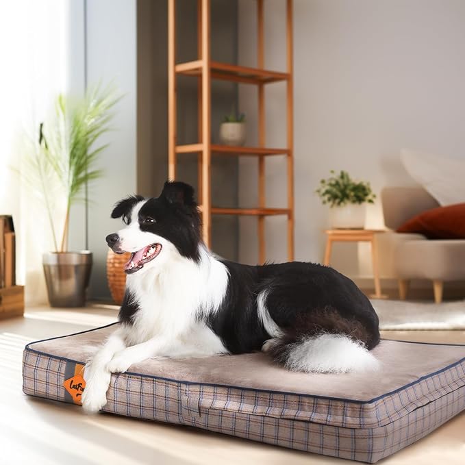 Laifug Memory Foam Dog Bed