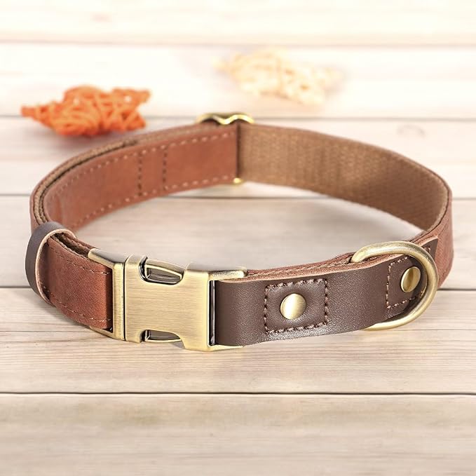 Didog Soft Padded Leather Dog Collars for Medium Dogs