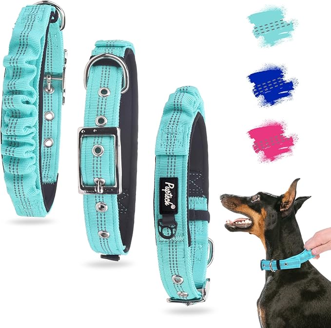 PUPTECK Heavy Duty Dog Collar with Handle Bungee for Small Medium Large Dogs