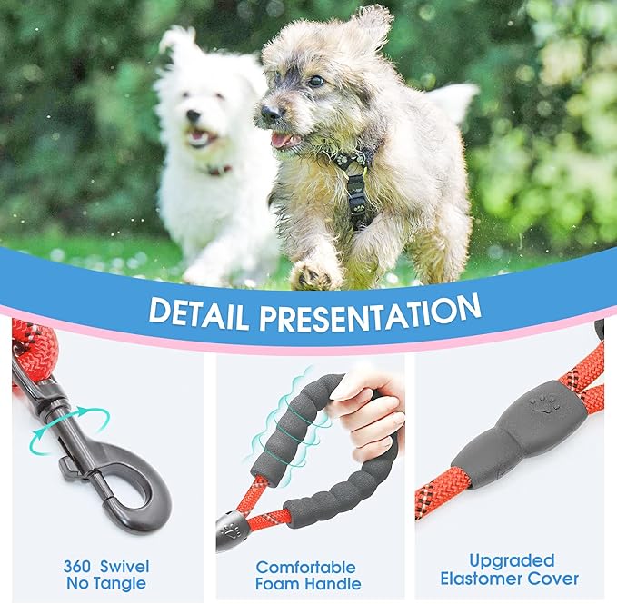 BAAPET 2/4/5/6 FT Dog Leash with Comfortable Padded Handle and Highly Reflective Threads for Small Medium and Large Dogs (5FT-1/3''