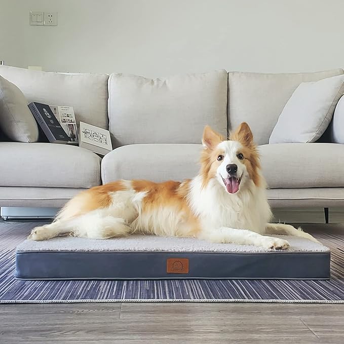Extra Large Orthopedic Dog Bed for Big Dogs