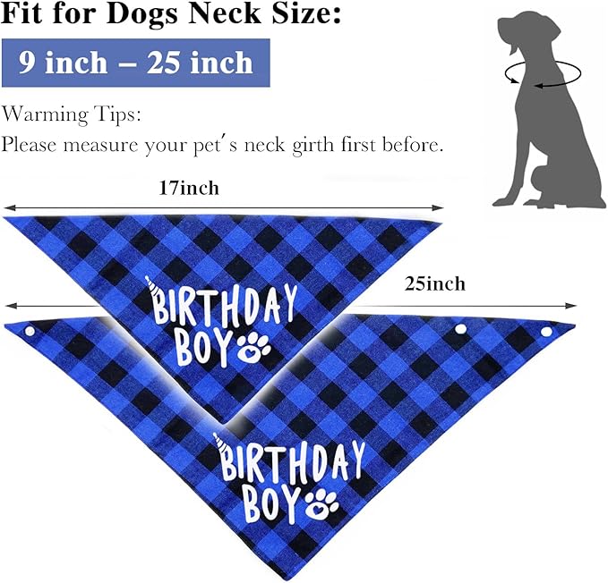 Birthday Plaid Dog Bandana with Button