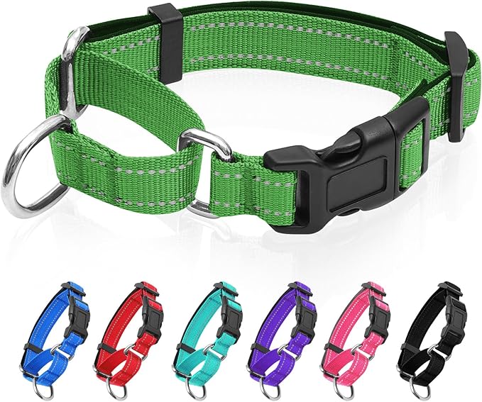 Reflective Martingale Dog Collars. Dog Collar with Quick