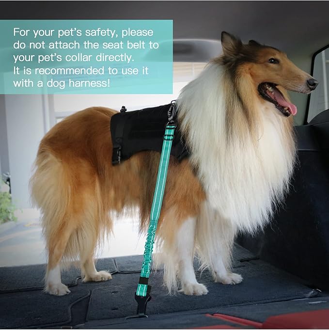 AUBELL Dog Seatbelt, Updated 3-in-1 Pet Car Seat Belt for Dogs, Bungee Dog Car Tether with Clip Hook Latch & Buckle, Heavy Duty Dog Car Harness with Swivel Aluminum Carabiner,Teal