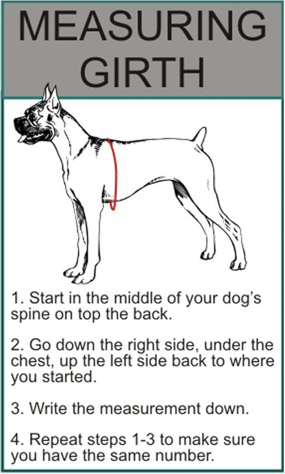 Doggie Stylz Multi-Functional Full-Body Lifting Dog Harness Vest, Designed for Front-Only, Rear-Only or Full-Body Dog Lifting. Please Measure Your Dog Before Ordering.