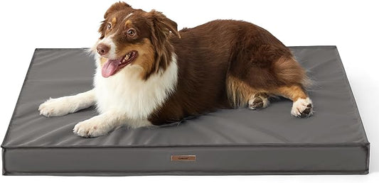 Lesure Waterproof Dog Bed for Medium Dogs