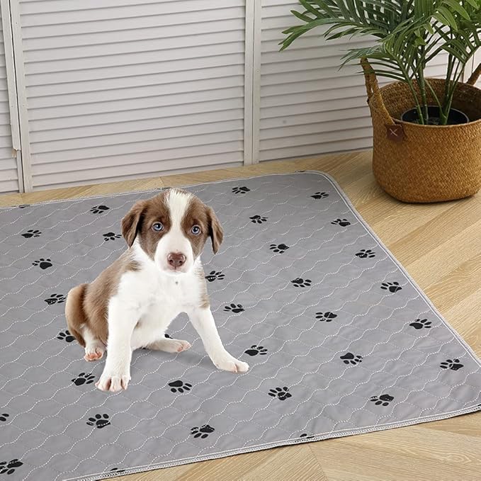 PUPTECK Washable Pee Pads for Dogs - 2 Pack 36" x 72" Waterproof Reusable Puppy Potty Training Pads Whelping Mat - Fast Absorption Non-Slip Pet Food Feeding Mat - Pad for Small Animals