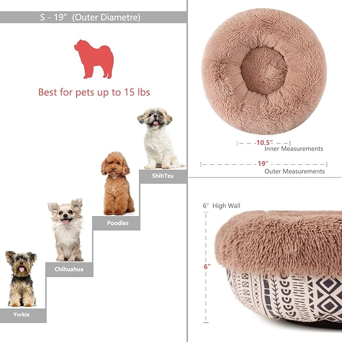 Modern Dog Beds for Small Dogs 19 inches 15 lbs