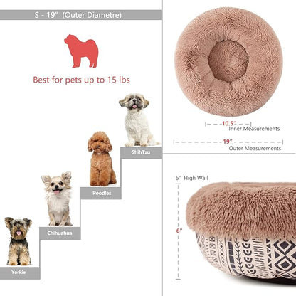 Modern Dog Beds for Small Dogs 19 inches 15 lbs