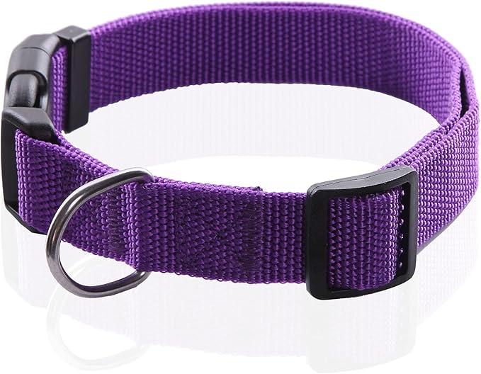 Adjustable Nylon Dog Collar, pet collar 1 Inch 3/4 Inch 5/8 Inch Wide, for Large medium Small Dogs (L(1" x 16-23"), PURPLE)