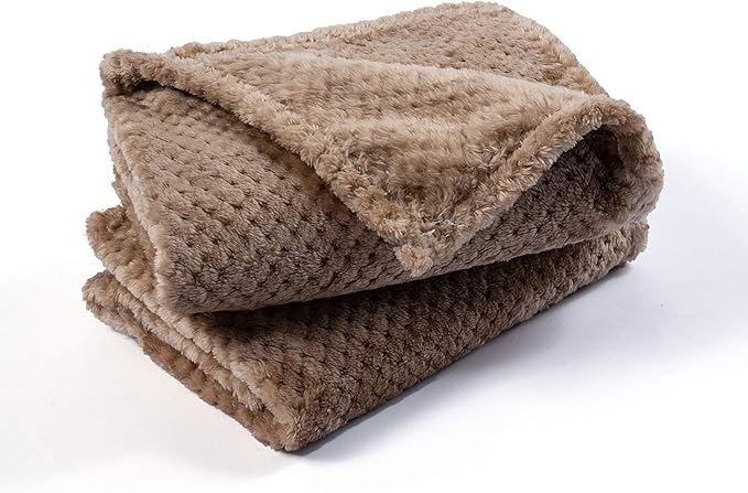 Dog Blanket or Cat Blanket or Pet Blanket (S/24" x 32", Light