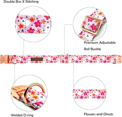 Lionheart glory Dog Collars Fall Halloween Pumpkin Collar