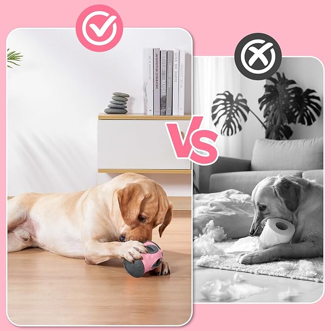 Treat Dispensing Dog Toys