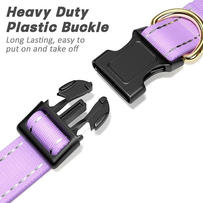 Reflective Dog Collar