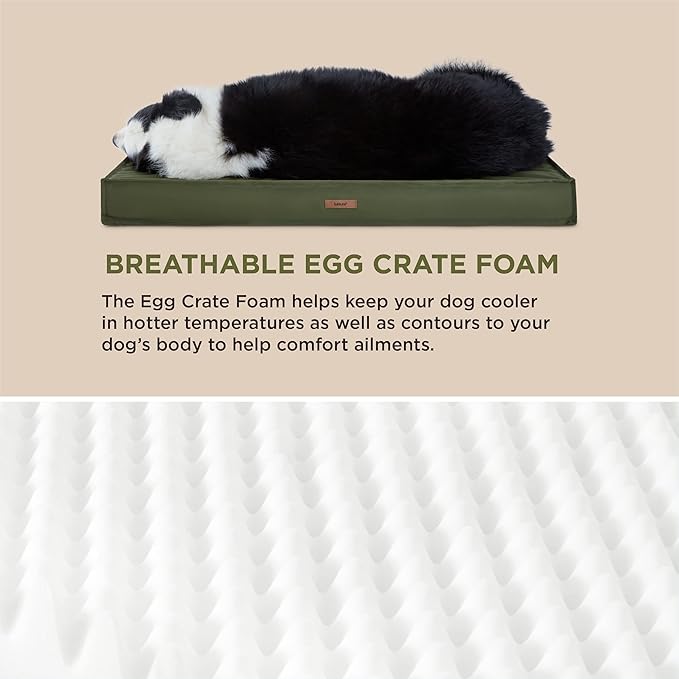 Lesure XXL Waterproof Dog Beds