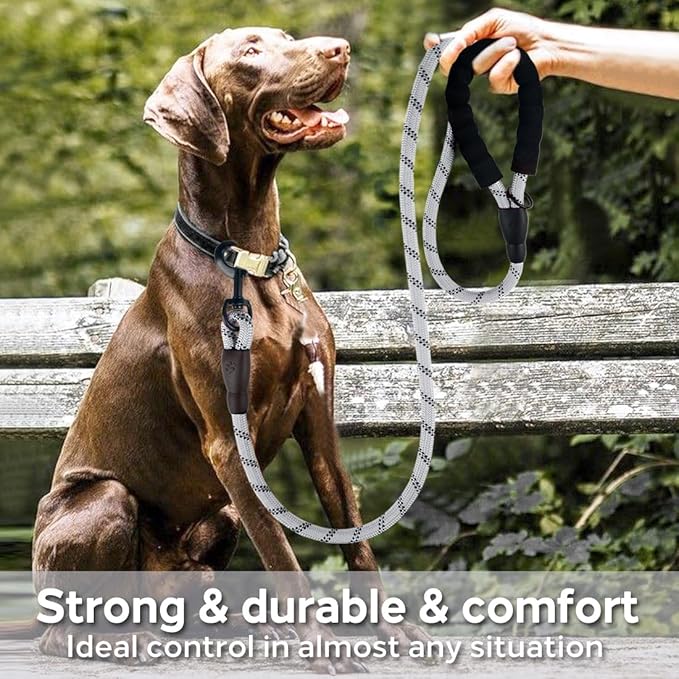 COOYOO Dog Leash 5/6 FT with Comfortable Padded