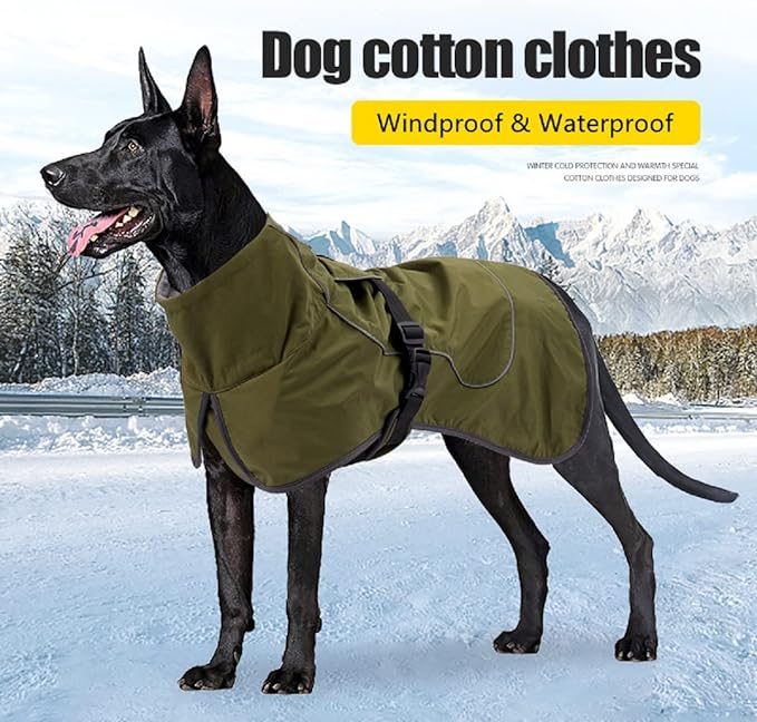 Dog Raincoat 3XL