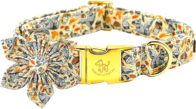 Elegant little tail Fall Dog Collar