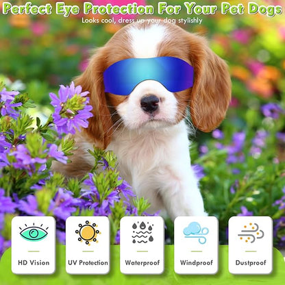 Small Dog Sunglasses